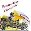Logo of the association Promo Kart Occitanie